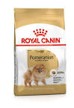 BHN POMERANIAN AD 1.5KG